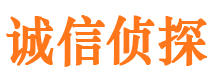 金州诚信私家侦探公司